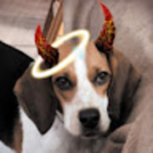 Meet your Posher, Angie